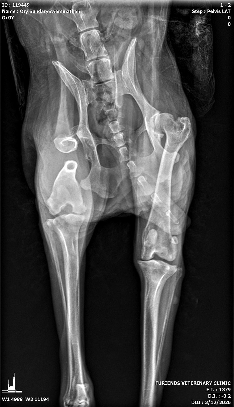 Ory xray