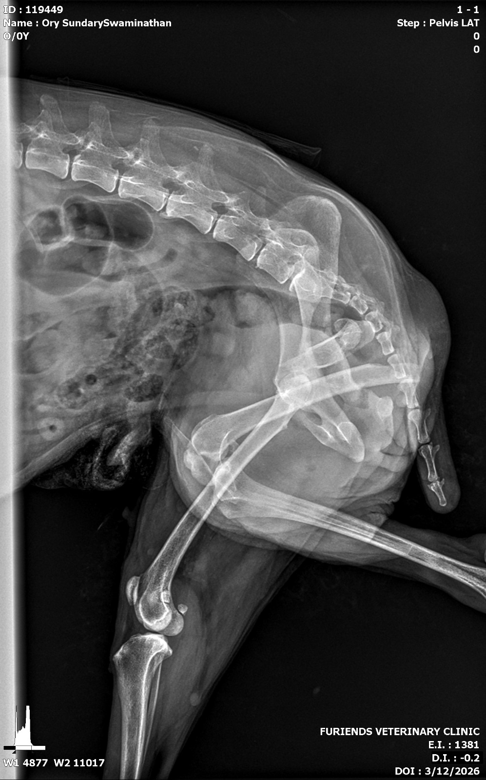 Ory xray1
